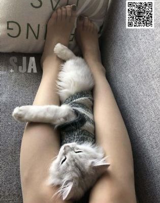 《七仙女思春》在线播放_日韩在线播放专区