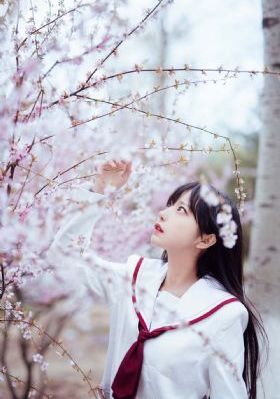 沧元图免费全集_1080免费全集观看